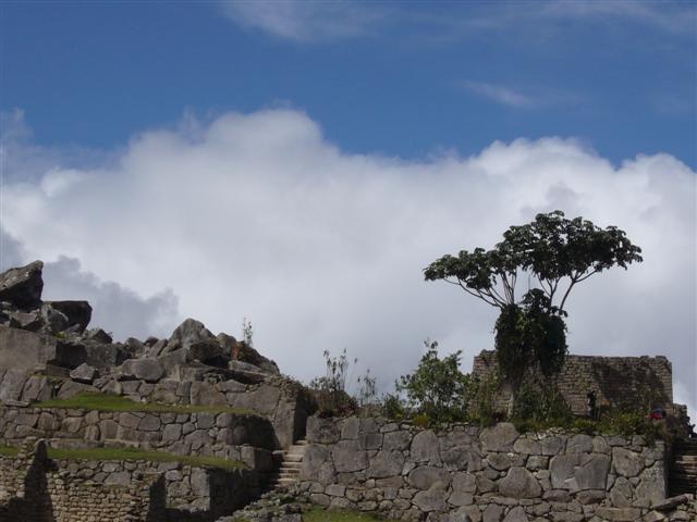 Travel - Peru - Machu Picchu - Views of Machu Picchu